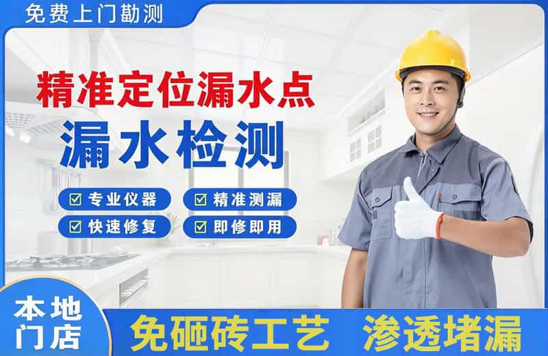 玄武精准测漏点